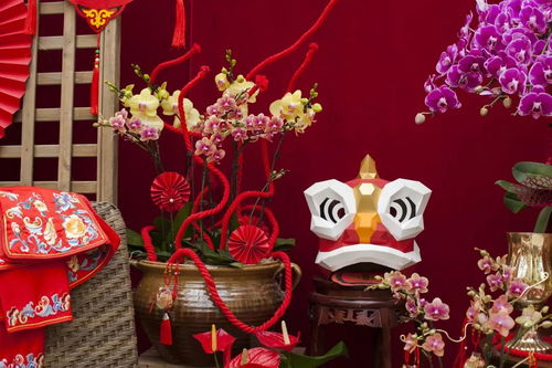 虹越黑五2019年宵花禮5折預(yù)售 與家人動(dòng)手過(guò)新年，禮品花卉溫暖冬日